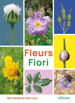 Fleurs / Fiori